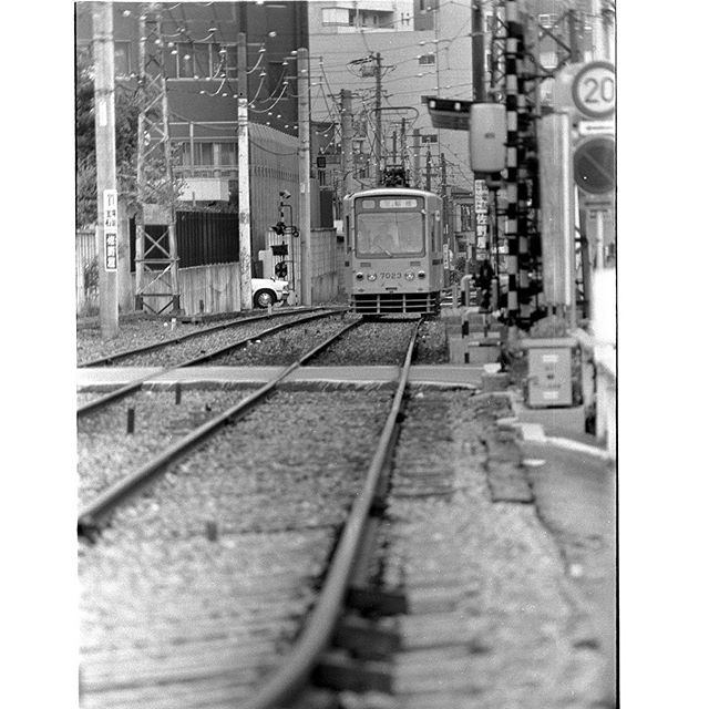 #都営荒川線 #instagram #instagramJapan #icu_japan #top_pointfview #team_jp_ #teame_jp_モノクロ #igersjp #ig_japan #IGersJP #wu_japan #ig_nihon #wow_nihon #love_nippon #ig_nippon #love_nippon #ip_gallery #photoisland #Fukuoka  #ip_connect #ink361 #モノクロ #フィルム #toden #Neopan