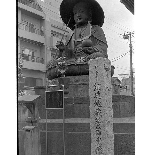 #真性寺　#instagram #instagramJapan #icu_japan #top_pointfview #team_jp_ #team_jp_モノクロ #igersjp #ig_japan #IGersJP #wu_japan #ig_nihon #wow_nihon #love_nippon #ig_nippon #love_nippon #ip_gallery #photoisland #Fukuoka  #ip_connect #ink361 #followme#写真好きな人と繋がりたい #ファインダー越しの私の世界 #sugamo #Neopan #フィルム #モノクロ