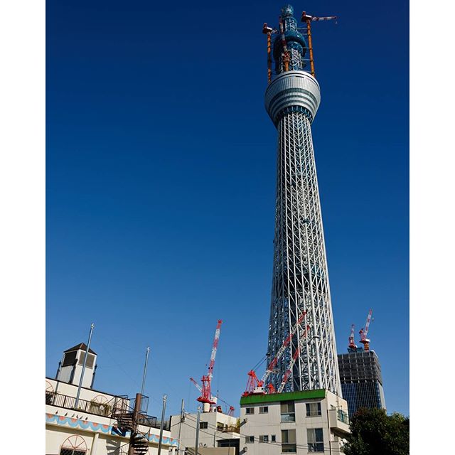 #東京スカイツリー #instagramers #instagramJapan #icu_japan #top_pointfview #team_jp_ #team_jp_西 #ig_photooftheday #ig_japan #igersjp  #wu_japan #ig_nihon #Lovers_Nippon  #ig_nippon #love_nippon #ip_gallery #photoisland #Fukuoka  #ip_connect #tokyocameraclub #東京カメラ部 #ink361_asia #写真好きな人と繋がりたい #ファインダー越しの私の世界
