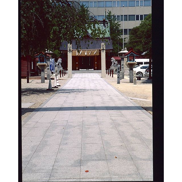 #神社　#instagramers #instagramJapan #icu_japan #top_pointfview #team_jp_ #team_jp_西 #ig_photooftheday #ig_japan #igersjp  #wu_japan #ig_nihon #Lovers_Nippon  #ig_nippon #love_nippon #ip_gallery #photoisland #Fukuoka  #ip_connect #tokyocameraclub #東京カメラ部 #ink361_asia #写真好きな人と繋がりたい #ファインダー越しの私の世界 #フィルム #リバーサル
