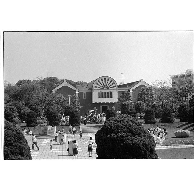 #港の見える丘公園 #instagramers #instagramJapan #icu_japan #top_pointfview #team_jp_ #team_jp_モノクロ #ig_photooftheday #ig_japan #igersjp  #wu_japan #ig_nihon #Lovers_Nippon  #ig_nippon #love_nippon #ip_gallery #photoisland #Fukuoka  #ip_connect #tokyocameraclub #東京カメラ部 #ink361_asia #写真好きな人と繋がりたい #ファインダー越しの私の世界 #モノクロ #フィルム #neopan