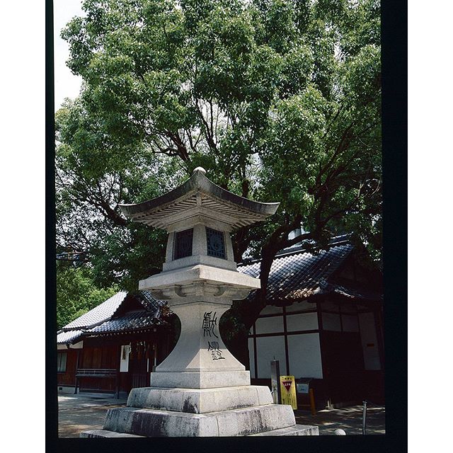 #石灯籠　#instagramers #instagramJapan #icu_japan #top_pointfview #team_jp_ #team_jp_西 #ig_photooftheday #ig_japan #igersjp  #wu_japan #ig_nihon #Lovers_Nippon  #ig_nippon #love_nippon #ip_gallery #photoisland #Fukuoka  #ip_connect #tokyocameraclub #東京カメラ部 #ink361_asia #写真好きな人と繋がりたい #ファインダー越しの私の世界 #フィルム #リバーサル