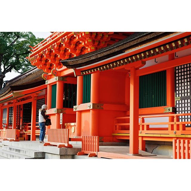 #宇佐神宮　#instagramers #instagramJapan #icu_japan #top_pointfview #team_jp_ #team_jp_西 #ig_photooftheday #ig_japan #igersjp  #wu_japan #ig_nihon #Lovers_Nippon  #ig_nippon #love_nippon #ip_gallery #photoisland #Fukuoka  #ip_connect #tokyocameraclub #東京カメラ部 #ink361_asia #写真好きな人と繋がりたい #ファインダー越しの私の世界