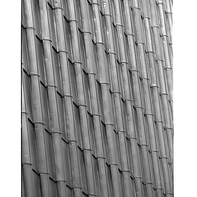 #瓦　#instagramers #instagramJapan #icu_japan #top_pointfview #team_jp_ #team_jp_モノクロ #ig_photooftheday #ig_japan #igersjp  #wu_japan #ig_nihon #Lovers_Nippon  #ig_nippon #love_nippon #ip_gallery #photoisland #Fukuoka  #ip_connect #tokyocameraclub #東京カメラ部 #ink361_asia #写真好きな人と繋がりたい #ファインダー越しの私の世界 #モノクロ #フィルム #neopan