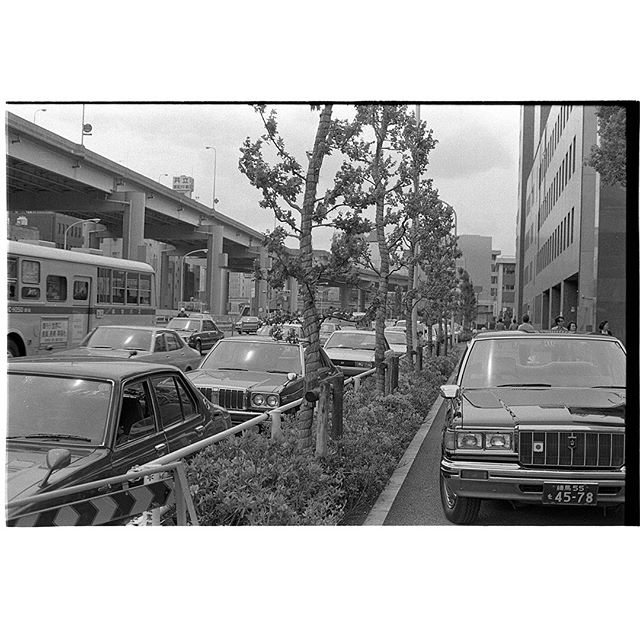 #飯田橋　#instagramers #instagramJapan #icu_japan #top_pointfview #team_jp_ #team_jp_モノクロ #ig_photooftheday #ig_japan #igersjp  #wu_japan #ig_nihon #Lovers_Nippon  #ig_nippon #love_nippon #ip_gallery #photoisland #Fukuoka  #ip_connect #tokyocameraclub #東京カメラ部 #ink361_asia #写真好きな人と繋がりたい #ファインダー越しの私の世界 #フィルム #モノクロ #neopan