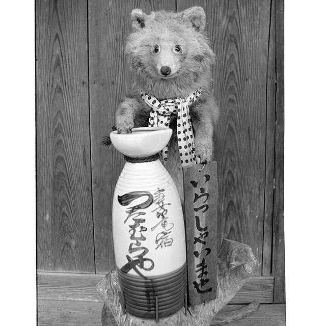 #妻籠宿 #instagramers #instagramJapan #icu_japan #top_pointfview #team_jp_ #team_jp_モノクロ #ig_photooftheday #ig_japan #igersjp  #wu_japan #ig_nihon #Lovers_Nippon  #ig_nippon #love_nippon #ip_gallery #photoisland #Fukuoka  #ip_connect #tokyocameraclub #東京カメラ部 #ink361_asia #写真好きな人と繋がりたい #ファインダー越しの私の世界 #trix #モノクロ #フィルム