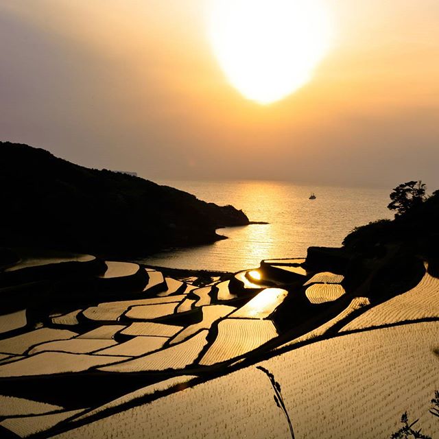 #浜野浦の棚田 #instagramers #instagramJapan #icu_japan #top_pointfview #team_jp_ #team_jp_西 #ig_photooftheday #ig_japan #igersjp  #wu_japan #ig_nihon #Lovers_Nippon  #ig_nippon #love_nippon #ip_gallery #photoisland #Fukuoka  #ip_connect #tokyocameraclub #東京カメラ部 #ink361_asia #写真好きな人と繋がりたい #ファインダー越しの私の世界 #佐賀 #風景 #棚田