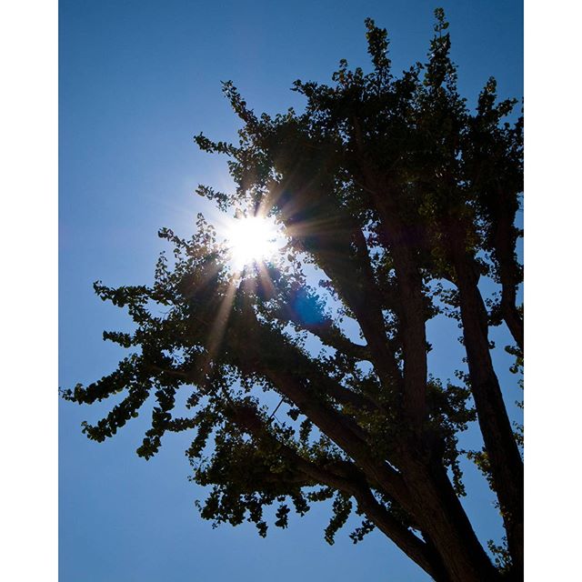 #instagramers #instagramJapan #icu_japan #top_pointfview #team_jp_ #team_jp_西 #ig_photooftheday #ig_japan #igersjp  #wu_japan #ig_nihon #Lovers_Nippon  #ig_nippon #love_nippon #ip_gallery #photoisland #Fukuoka  #ip_connect #tokyocameraclub #東京カメラ部 #ink361_asia #写真好きな人と繋がりたい #ファインダー越しの私の世界