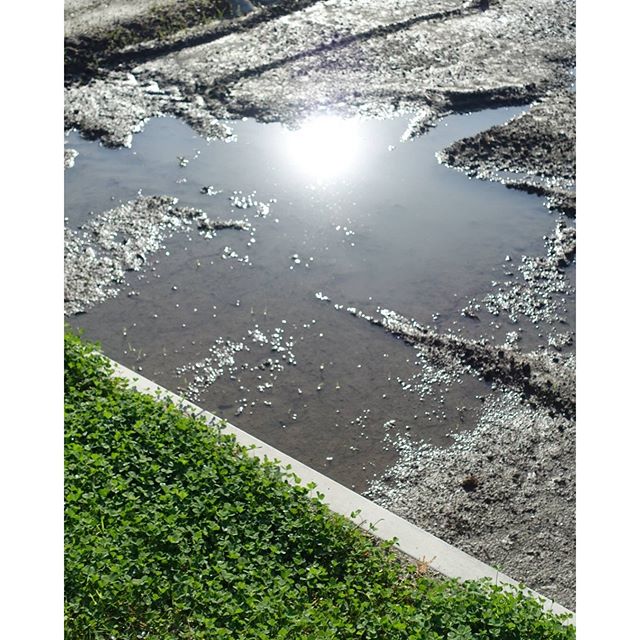 #instagramers #instagramJapan #icu_japan #top_pointfview #team_jp_ #team_jp_西 #ig_photooftheday #ig_japan #igersjp  #wu_japan #ig_nihon #Lovers_Nippon  #ig_nippon #love_nippon #ip_gallery #photoisland #Fukuoka  #ip_connect #tokyocameraclub #東京カメラ部 #ink361_asia #写真好きな人と繋がりたい #ファインダー越しの私の世界