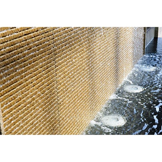 #instagramers #instagramJapan #icu_japan #top_pointfview #team_jp_ #team_jp_西 #ig_photooftheday #ig_japan #igersjp  #wu_japan #ig_nihon #Lovers_Nippon  #ig_nippon #love_nippon #ip_gallery #photoisland #Fukuoka  #ip_connect #tokyocameraclub #東京カメラ部 #ink361_asia #写真好きな人と繋がりたい #ファインダー越しの私の世界