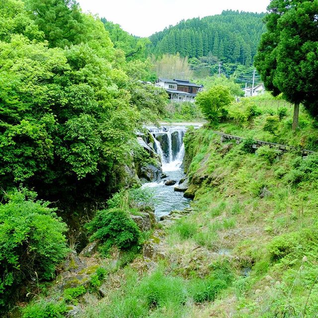 #新緑　#instagramers #instagramjapan #icu_japan #top_pointfview #team_jp_ #team_jp_西 #ig_photooftheday #ig_japan #igersjp  #wu_japan #ig_nihon #lovers_nippon  #ig_nippon #love_nippon #ip_gallery #photoisland #fukuoka  #ip_connect #tokyocameraclub #東京カメラ部 #ink361_asia #写真好きな人と繋がりたい #ファインダー越しの私の世界