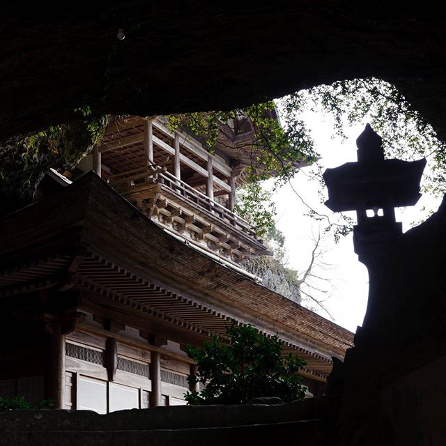 #神社　#instagramers #instagramjapan #icu_japan #top_pointfview #team_jp_ #team_jp_西 #ig_photooftheday #ig_japan #igersjp  #wu_japan #ig_nihon #lovers_nippon  #ig_nippon #love_nippon #ip_gallery #photoisland #fukuoka  #ip_connect #tokyocameraclub #東京カメラ部 #ink361_asia #写真好きな人と繋がりたい #ファインダー越しの私の世界 #風景