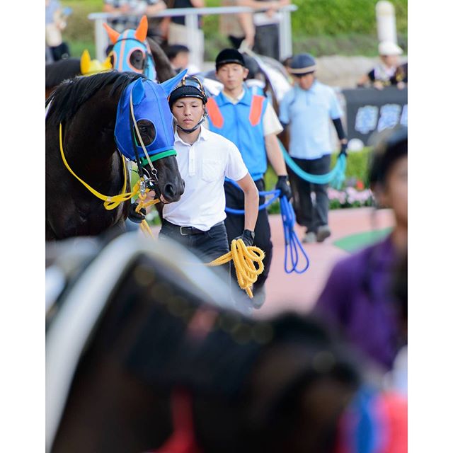 #パドック　#instagramers #instagramjapan #icu_japan #top_pointfview #team_jp_ #team_jp_西 #ig_photooftheday #ig_japan #igersjp  #wu_japan #ig_nihon #lovers_nippon  #ig_nippon #love_nippon #ip_gallery #photoisland #fukuoka  #ip_connect #tokyocameraclub #東京カメラ部 #ink361_asia #写真好きな人と繋がりたい #ファインダー越しの私の世界 #競馬 #JRA #馬 #サラブレッド