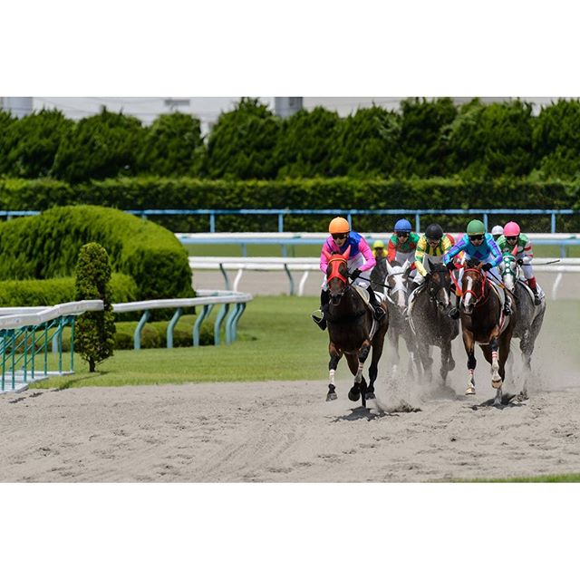 #ダート　#instagramers #instagramjapan #icu_japan #top_pointfview #team_jp_ #team_jp_西 #ig_photooftheday #ig_japan #igersjp  #wu_japan #ig_nihon #lovers_nippon  #ig_nippon #love_nippon #ip_gallery #photoisland #fukuoka  #ip_connect #tokyocameraclub #東京カメラ部 #ink361_asia #写真好きな人と繋がりたい #ファインダー越しの私の世界 #JRA #競馬 #サラブレッド