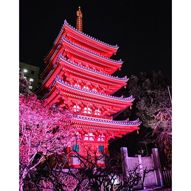 #instagramers #instagramjapan #icu_japan #top_pointfview #team_jp_ #team_jp_西 #ig_photooftheday #ig_japan #igersjp #wu_japan #ig_nihon #lovers_nippon #ig_nippon #love_nippon #ip_gallery #photoisland #fukuoka #ip_connect #tokyocameraclub #東京カメラ部 #ink361_asia #写真好きな人と繋がりたい #ファインダー越しの私の世界 #寺 #ライトアップ