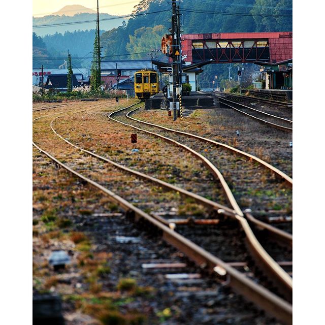 #instagramers #instagramjapan #icu_japan #top_pointfview #team_jp_ #team_jp_西 #ig_photooftheday #ig_japan #igersjp  #wu_japan #ig_nihon #lovers_nippon  #ig_nippon #love_nippon #ip_gallery #photoisland #fukuoka  #ip_connect #tokyocameraclub #東京カメラ部 #ink361_asia #写真好きな人と繋がりたい #ファインダー越しの私の世界