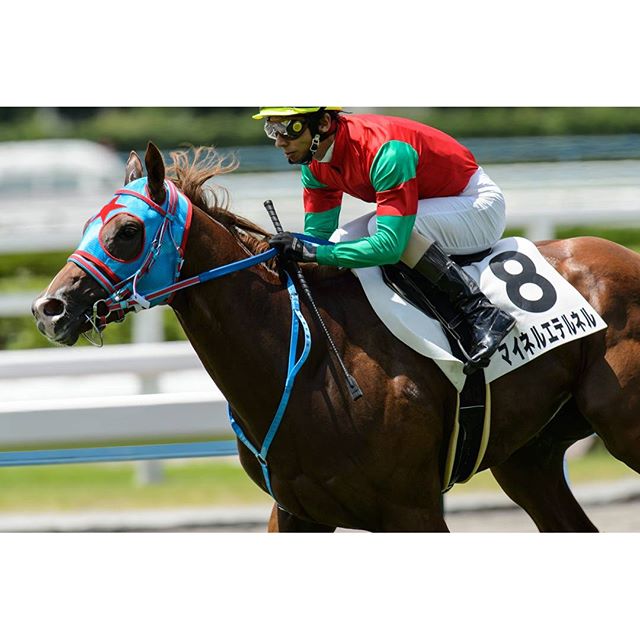 #夏競馬　#instagramers #instagramjapan #icu_japan #top_pointfview #team_jp_ #team_jp_西 #ig_photooftheday #ig_japan #igersjp  #wu_japan #ig_nihon #lovers_nippon  #ig_nippon #love_nippon #ip_gallery #photoisland #fukuoka  #ip_connect #tokyocameraclub #東京カメラ部 #ink361_asia #写真好きな人と繋がりたい #ファインダー越しの私の世界 #馬 #サラブレッド #小倉