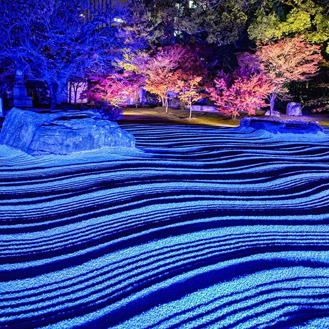 #instagramers #instagramjapan #icu_japan #top_pointfview #team_jp_ #team_jp_西 #ig_photooftheday #ig_japan #igersjp  #wu_japan #ig_nihon #lovers_nippon  #ig_nippon #love_nippon #ip_gallery #photoisland #fukuoka  #ip_connect #tokyocameraclub #東京カメラ部 #ink361_asia #写真好きな人と繋がりたい #ファインダー越しの私の世界 #ライトアップ #寺