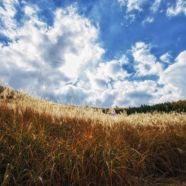#長者原　#instagramers #instagramjapan #icu_japan #top_pointfview #team_jp_ #team_jp_西 #ig_photooftheday #ig_japan #igersjp  #wu_japan #ig_nihon #lovers_nippon  #ig_nippon #love_nippon #ip_gallery #photoisland #fukuoka  #ip_connect #tokyocameraclub #東京カメラ部 #ink361_asia #写真好きな人と繋がりたい #ファインダー越しの私の世界　#風景　#そら