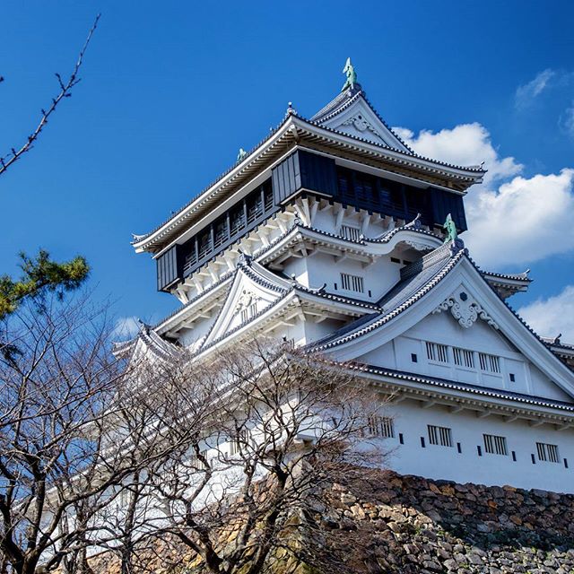#小倉城　#instagramers #instagramjapan #icu_japan #top_pointfview #team_jp_ #team_jp_西 #ig_photooftheday #ig_japan #igersjp  #wu_japan #ig_nihon #lovers_nippon  #ig_nippon #love_nippon #ip_gallery #photoisland #fukuoka  #ip_connect #tokyocameraclub #東京カメラ部 #ink361_asia #写真好きな人と繋がりたい #ファインダー越しの私の世界