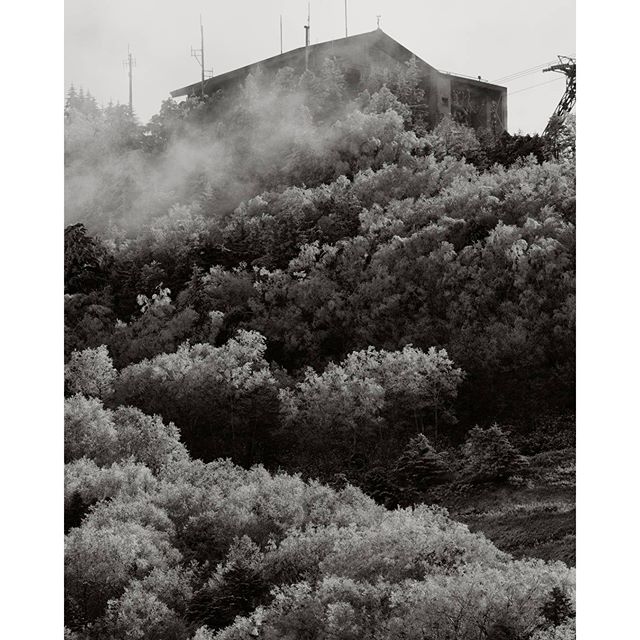 #instagramers #instagramjapan #icu_japan #top_pointfview #team_jp_ #team_jp_西 #ig_photooftheday #ig_japan #igersjp  #wu_japan #ig_nihon #lovers_nippon  #ig_nippon #love_nippon #ip_gallery #photoisland #fukuoka  #ip_connect #tokyocameraclub #東京カメラ部 #ink361_asia #写真好きな人と繋がりたい #ファインダー越しの私の世界 #モノクロ