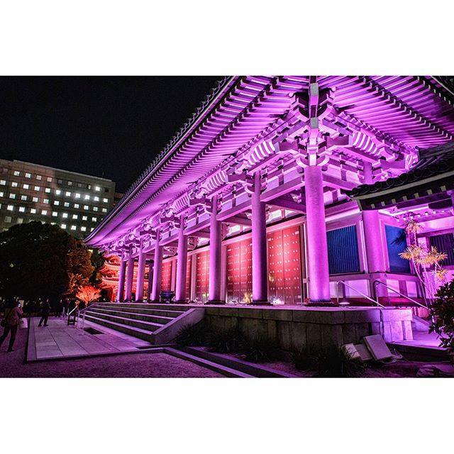 #ライトアップ　#instagramers #instagramjapan #icu_japan #top_pointfview #team_jp_ #team_jp_西 #ig_photooftheday #ig_japan #igersjp #wu_japan #ig_nihon #lovers_nippon #ig_nippon #love_nippon #ip_gallery #photoisland #fukuoka #ip_connect #tokyocameraclub #福岡 #東京カメラ部 #ink361_asia #写真好きな人と繋がりたい #ファインダー越しの私の世界 #寺