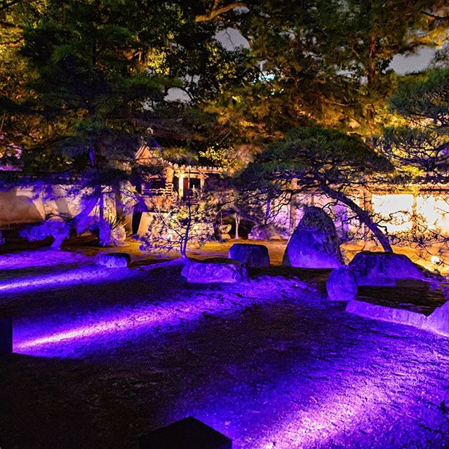 #ライトアップ　#instagramers #instagramjapan #icu_japan #top_pointfview #team_jp_ #team_jp_西 #ig_photooftheday #ig_japan #igersjp  #wu_japan #ig_nihon #lovers_nippon  #ig_nippon #love_nippon #ip_gallery #photoisland #fukuoka  #ip_connect #tokyocameraclub #福岡 #東京カメラ部 #ink361_asia #写真好きな人と繋がりたい #ファインダー越し私の世界