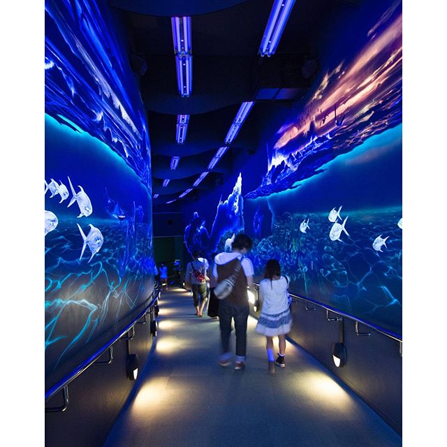 #instagramers #instagramjapan #icu_japan #top_pointfview #team_jp_ #team_jp_西 #ig_photooftheday #ig_japan #igersjp  #wu_japan #ig_nihon #lovers_nippon  #ig_nippon #love_nippon #ip_gallery #photoisland #fukuoka  #ip_connect #tokyocameraclub #福岡 #東京カメラ部 #ink361_asia #写真好きな人と繋がりたい #ファインダー越しの私の世界