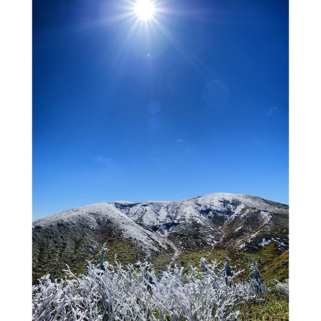 #instagramers #instagramjapan #icu_japan #top_pointfview #team_jp_ #team_jp_西 #ig_photooftheday #ig_japan #igersjp  #wu_japan #ig_nihon #lovers_nippon  #ig_nippon #love_nippon #ip_gallery #photoisland #fukuoka  #ip_connect #tokyocameraclub #福岡 #東京カメラ部 #ink361_asia #japan #olloclip#写真好きな人と繋がりたい #ファインダー越し私の世界 #skyshot #skyshotarchive