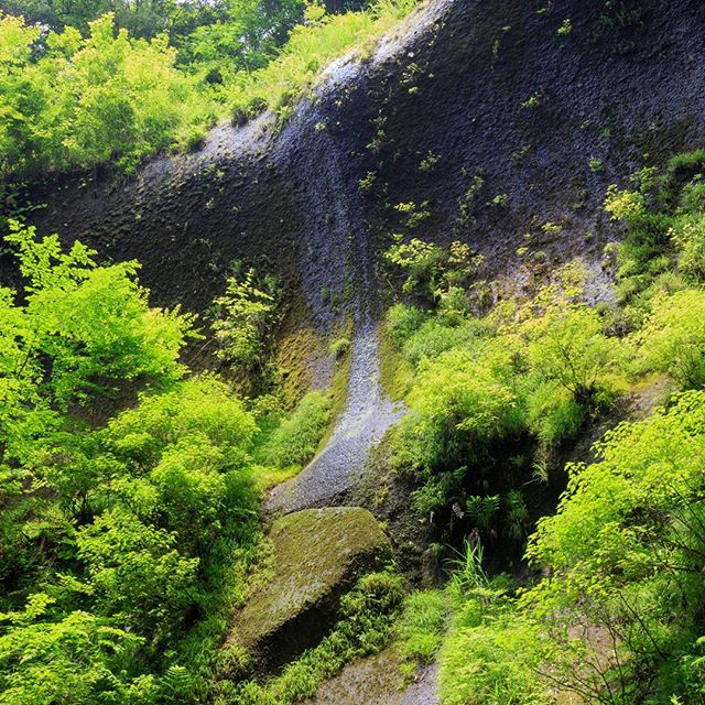 #instagramers #instagramjapan #icu_japan #top_pointfview #team_jp_ #team_jp_西 #ig_photooftheday #ig_japan #igersjp  #wu_japan #ig_nihon #lovers_nippon  #ig_nippon #love_nippon #ip_gallery #photoisland #fukuoka  #ip_connect #tokyocameraclub #bestjapanpics#東京カメラ部 #ink361_asia #japan #olloclip#写真好きな人と繋がりたい#ファインダー越し私の世界