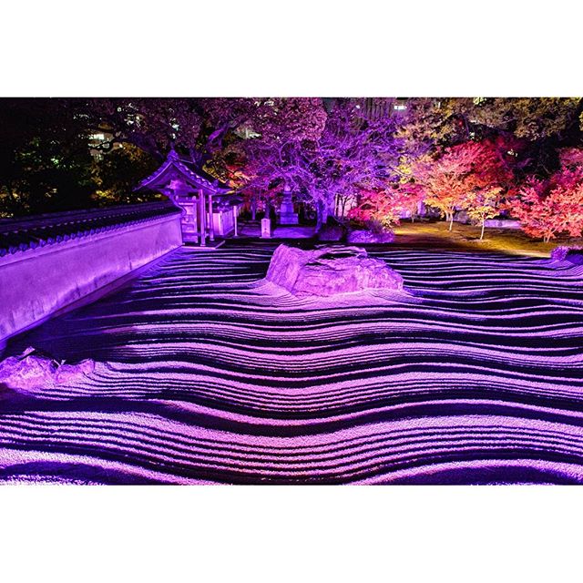 #ライトアップ　#instagramers #instagramjapan #icu_japan #top_pointfview #team_jp_ #team_jp_西 #ig_photooftheday #ig_japan #igersjp  #wu_japan #ig_nihon #lovers_nippon  #ig_nippon #love_nippon #ip_gallery #photoisland #fukuoka  #ip_connect #tokyocameraclub #bestjapanpics#東京カメラ部 #ink361_asia #japan #olloclip#写真好きな人と繋がりたい#ファインダー越し私の世界