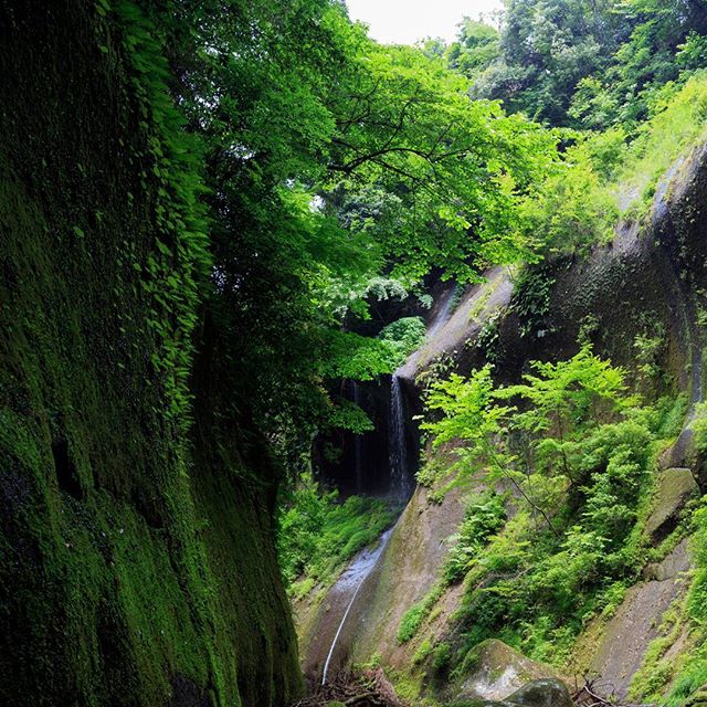 #instagramers #instagramjapan #icu_japan #top_pointfview #team_jp_ #team_jp_西 #ig_photooftheday #ig_japan #igersjp #wu_japan #ig_nihon #lovers_nippon #ig_nippon #love_nippon #ip_gallery #photoisland #fukuoka #ip_connect #tokyocameraclub #bestjapanpics#東京カメラ部 #ink361_asia #japan #olloclip#写真好きな人と繋がりたい#ファインダー越しの私の世界