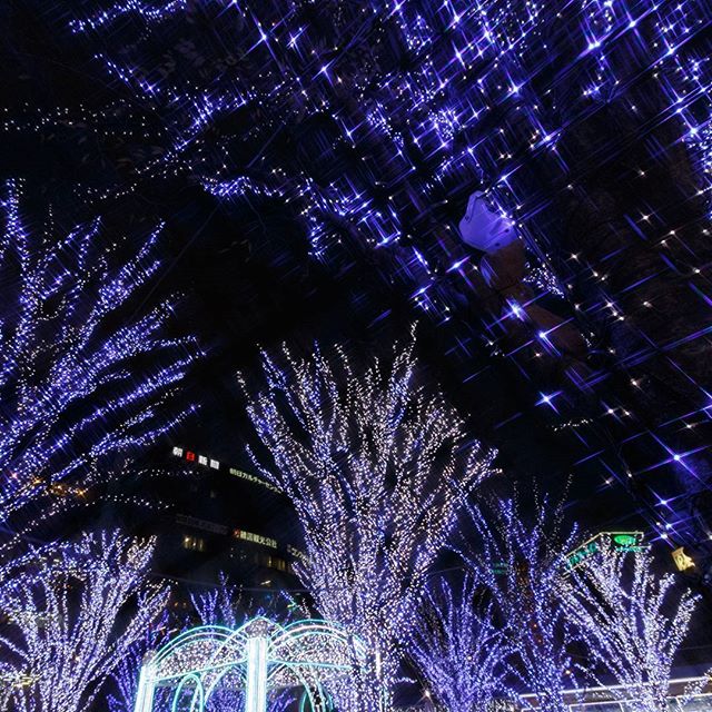 #イルミネーション#instagramers #instagramjapan #icu_japan #top_pointfview #team_jp_ #team_jp_西 #ig_photooftheday #ig_japan #igersjp  #wu_japan #ig_nihon #lovers_nippon  #ig_nippon #love_nippon #ip_gallery #photoisland #fukuoka  #ip_connect #tokyocameraclub #bestjapanpics#東京カメラ部 #ink361_asia #japan #olloclip#写真好きな人と繋がりたい#ファインダー越しの私の世界 #jr博多シティ