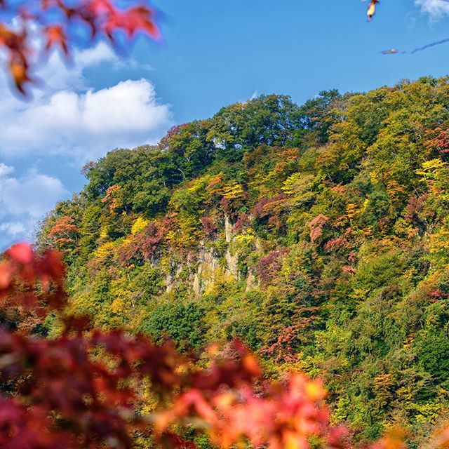 #instagramers #instagramjapan #icu_japan #top_pointfview #team_jp_ #team_jp_西 #ig_photooftheday #ig_japan #igersjp #wu_japan #ig_nihon #lovers_nippon #ig_nippon #love_nippon #ip_gallery #photoisland #fukuoka #ip_connect #tokyocameraclub #bestjapanpics#東京カメラ部 #ink361_asia #japan #olloclip#写真好きな人と繋がりたい#ファインダー越しの私の世界