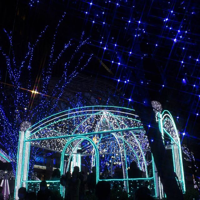 #イルミネーション　#instagramers #instagramjapan #icu_japan #top_pointfview #team_jp_ #team_jp_西 #ig_photooftheday #ig_japan #igersjp  #wu_japan #ig_nihon #lovers_nippon  #ig_nippon #love_nippon #ip_gallery #photoisland #fukuoka  #ip_connect #tokyocameraclub #bestjapanpics#東京カメラ部 #ink361_asia #japan #olloclip#写真好きな人と繋がりたい#ファインダー越しの私の世界