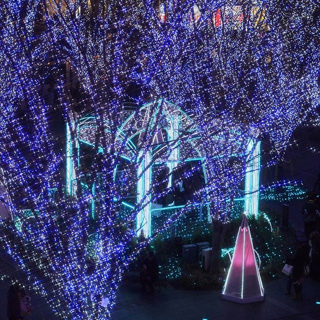 #イルミネーション　#instagramers #instagramjapan #icu_japan #top_pointview #team_jp_ #team_jp_西 #ig_japan #igersjp #wu_japan #ig_nihon #lavers_nippon #ig_nippon #love_nippon #ip_gallery #photoisland #fukuoka #ip_connect #tokyocameraclub #bestjapanpics #東京カメラ部 #ink361_asia #japan #olloclip #写真好きな人と繋がりたい #ファインダー越しの私の世界