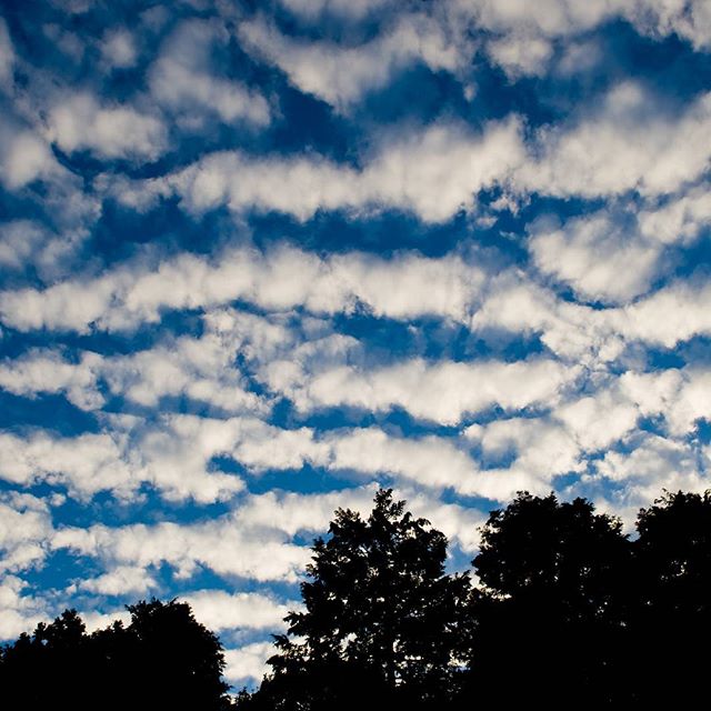 #skyshot #instagramers #instagramjapan #icu_japan #top_pointview #team_jp_ #team_jp_西 #ig_japan #igersjp #wu_japan #ig_nihon #lavers_nippon #ig_nippon #love_nippon #ip_gallery #photoisland #fukuoka #ip_connect #tokyocameraclub #bestjapanpics #東京カメラ部 #ink361_asia #japan #olloclip #写真好きな人と繋がりたい #ファインダー越しの私の世界