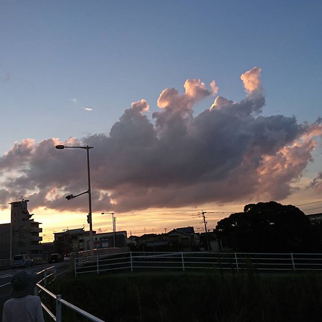 今日も仕事探しに出かけていました。
夕焼けがきれいだったので１枚。