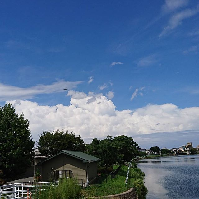 やっと転職が決まりました(^O^)
気合いを入れて頑張ります。